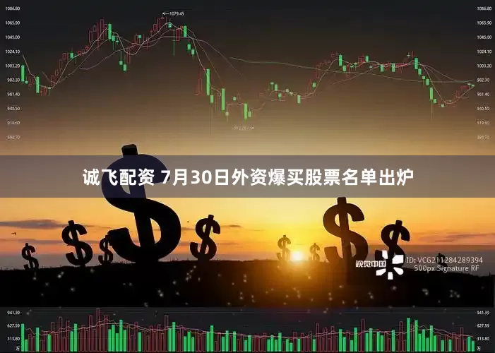 诚飞配资 7月30日外资爆买股票名单出炉